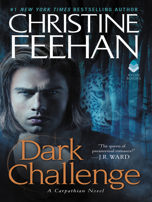 Cover image for Dark Challenge